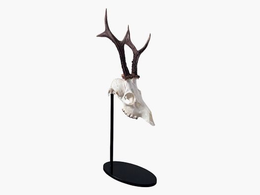 Trophäenständer