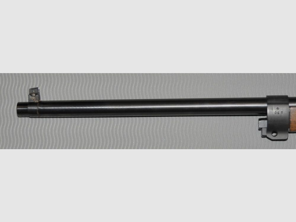 Carl Gustafs M 96