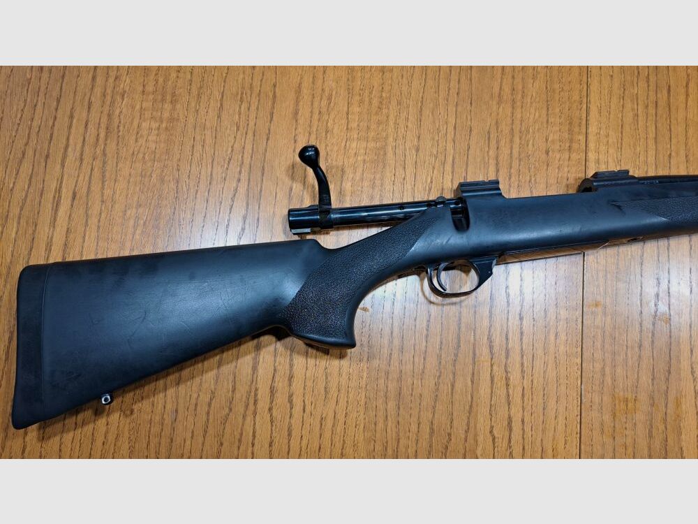 HOWA 1500