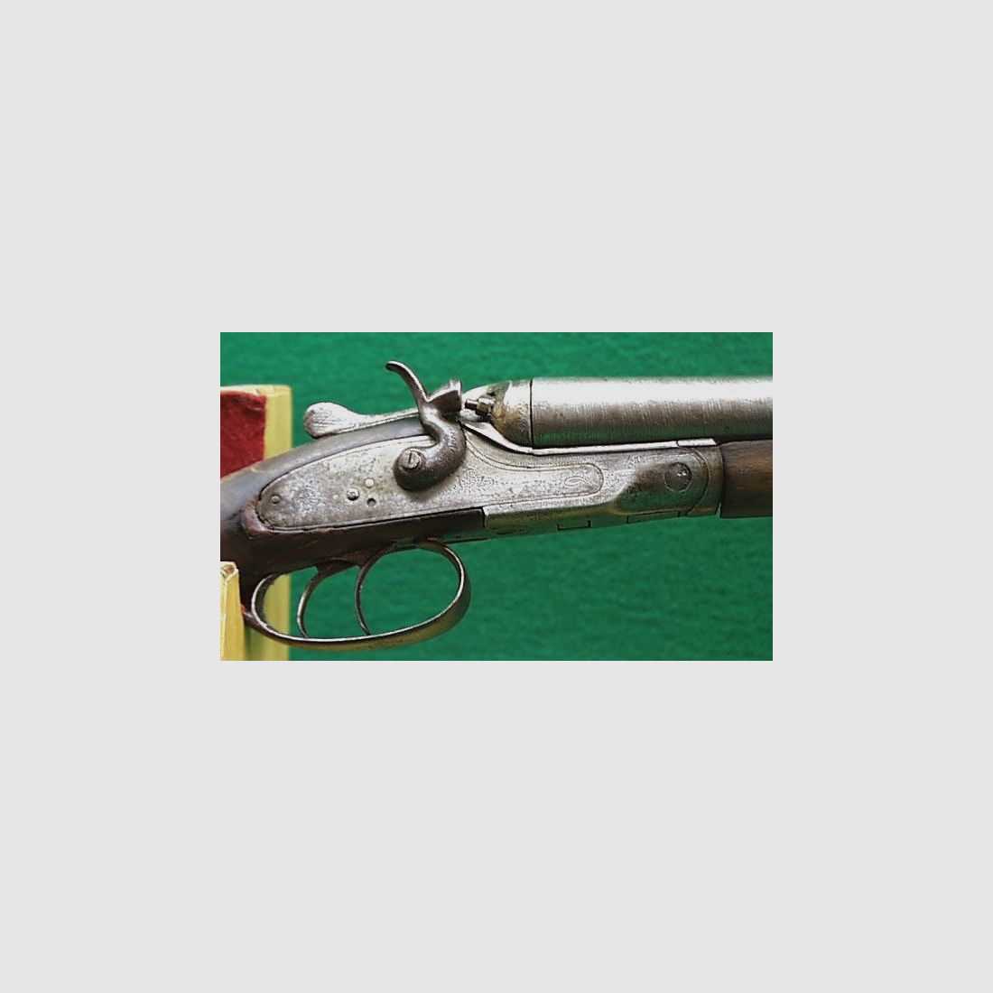Double shotgun / hammer double shotgun