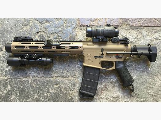 Custom Honey Badger