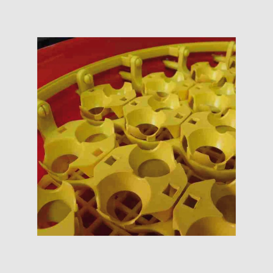 Adapters for Quail Eggs, image 2 of 9
