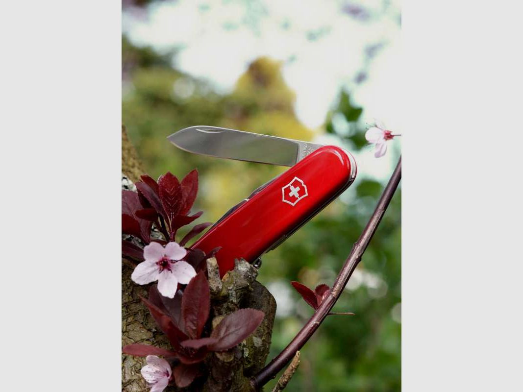 Victorinox Offiziersmesser Spartan, rot, 12 Funktionen