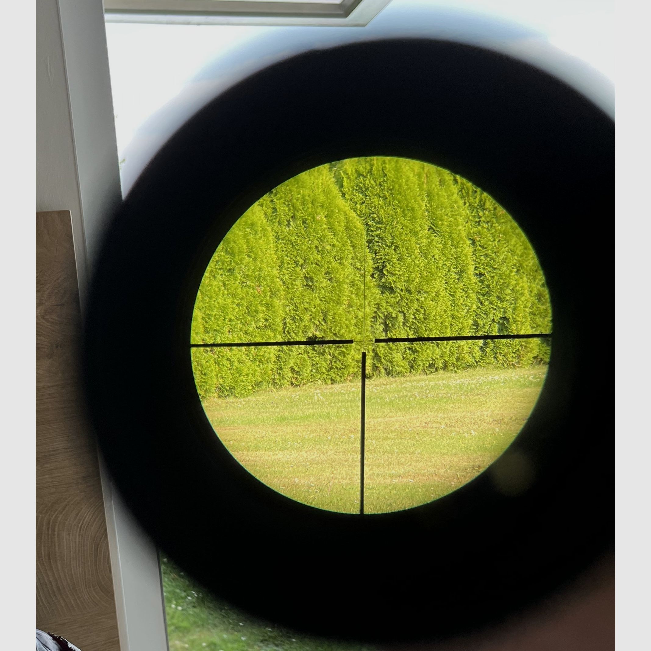 ZEISS Diavari VM 3-12x56 T z podświetlanym krzyżem na montażu siodłowym Blaser