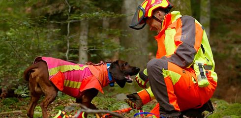 Die Schweißarbeit mit dem Hund