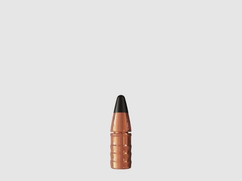 SAX KJG-SR .318 8.1g, image 2 sur 2
