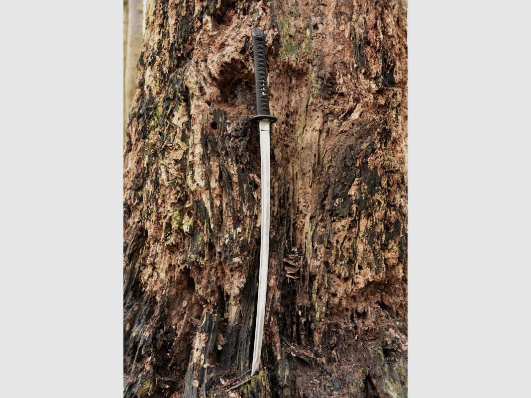 Dragon King Night Owl Katana Schwert