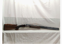 Beretta DT11