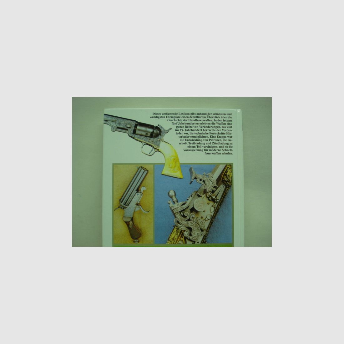 Libro Lessico Illustrato - d. Armi da Fuoco Portatili