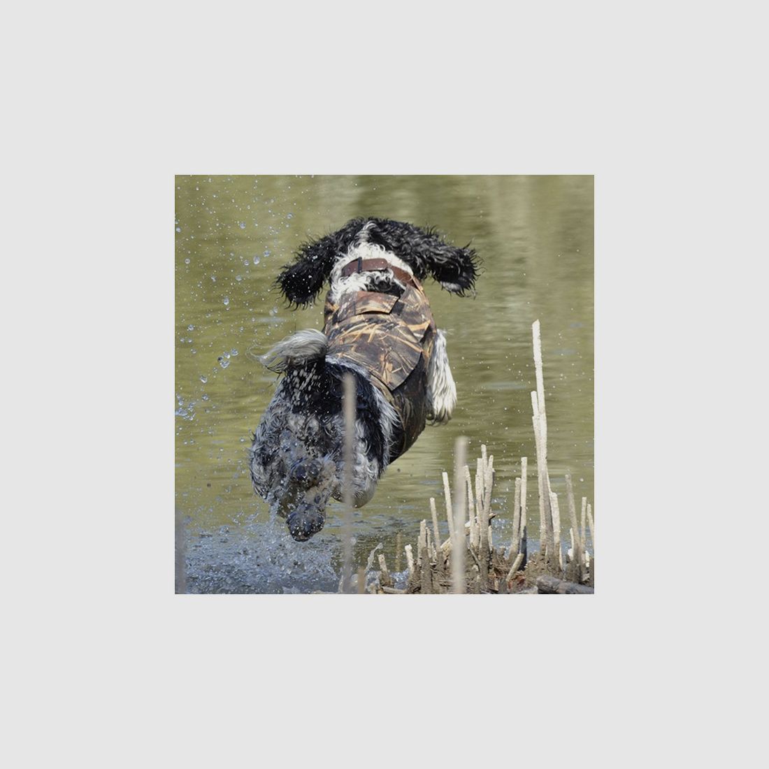Canihunt Hundeweste - Neopren V2 - Camouflage, Bild 4 von 4