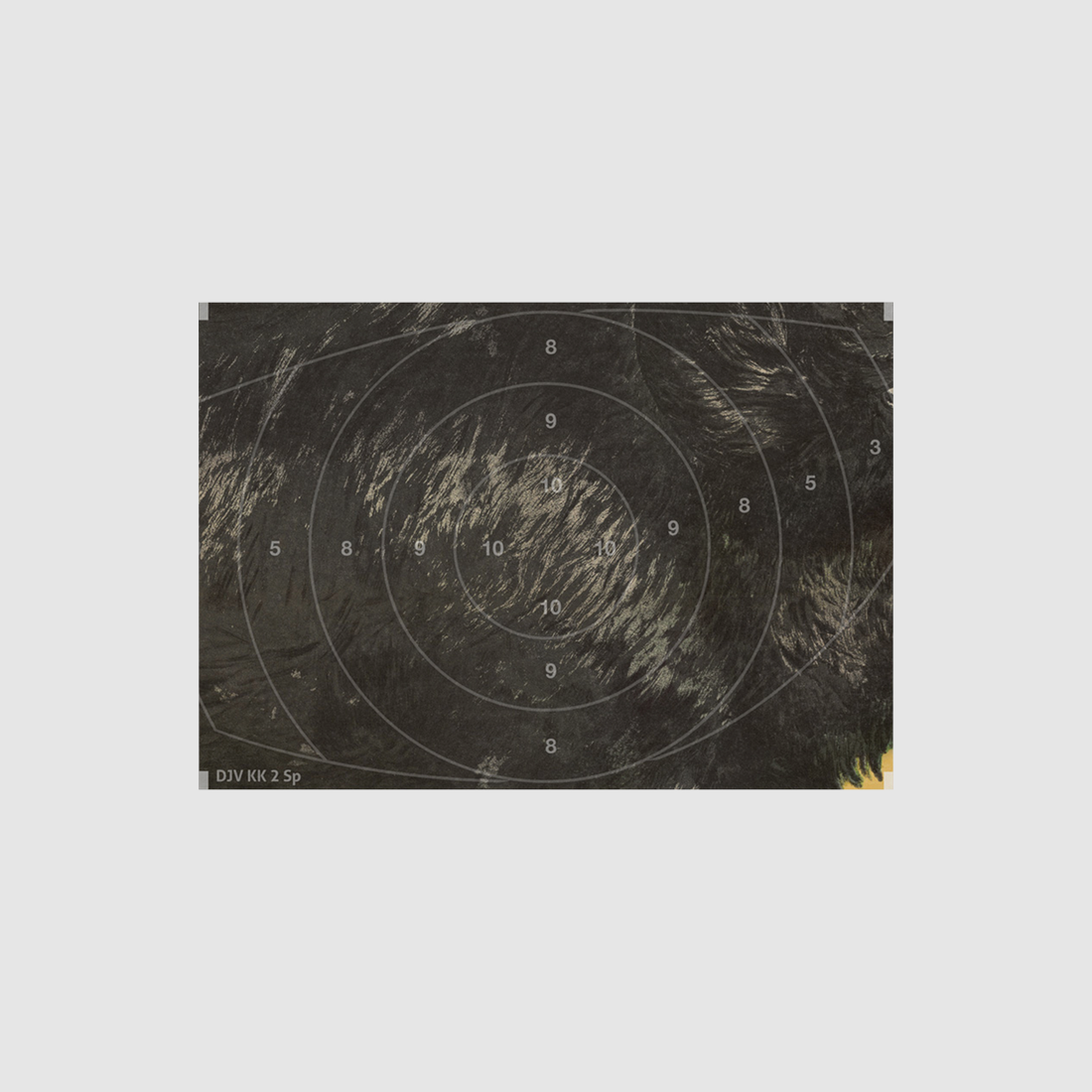 Specchio per bersaglio selvatico di piccolo calibro DJV n. 2 (sovrapposizione)