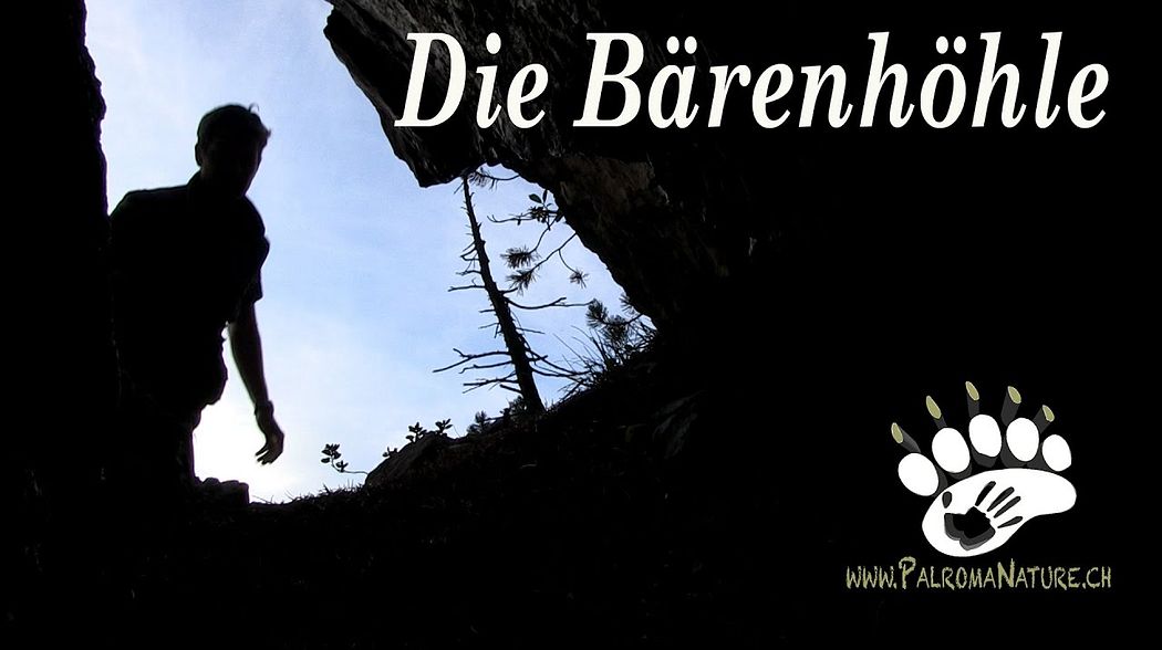 Die Bärenhöhle | The Bear Cave | Braunbär Schweiz