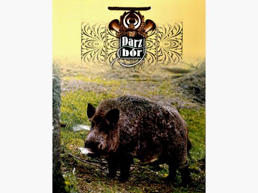 Grote cadeauzak L