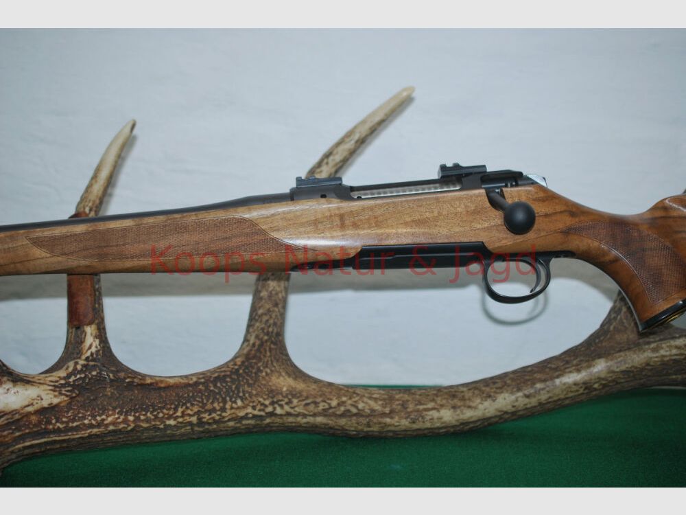 Sauer 101 Artemis