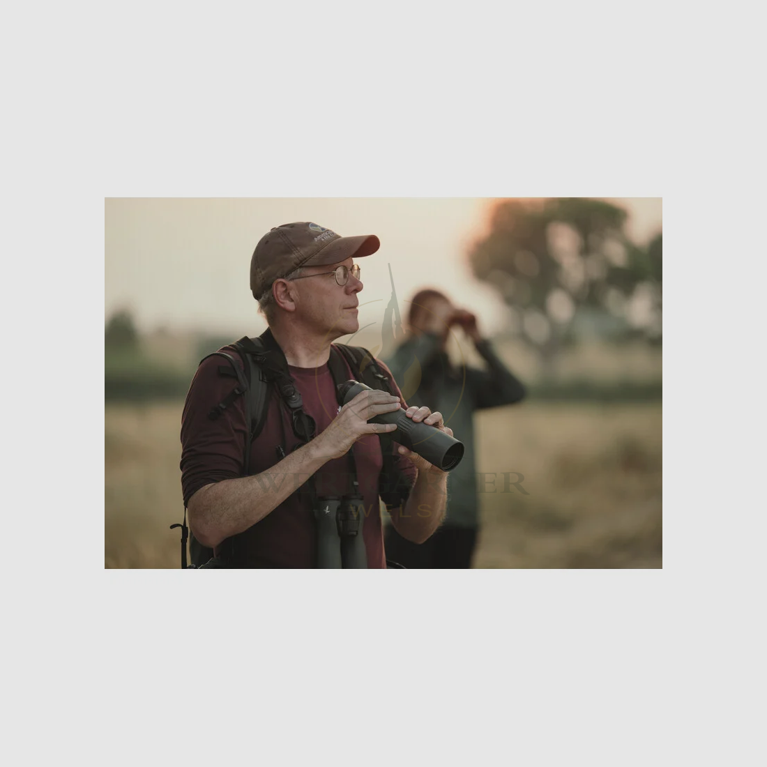 Swarovski STC 17-40x56 grün, Bild 5 von 5