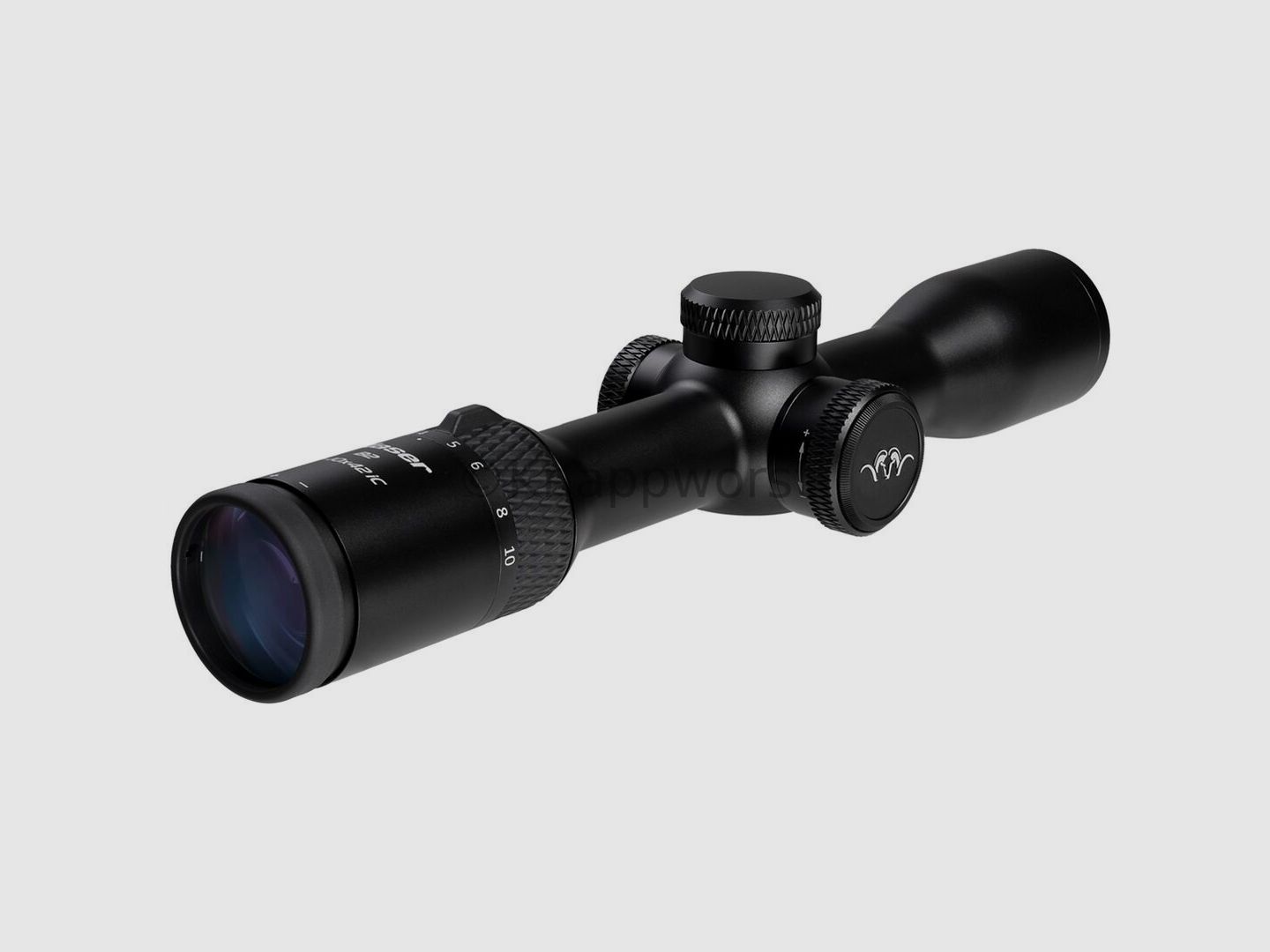 Blaser-Waffen Blaser B2 1,7-10x42 iC S