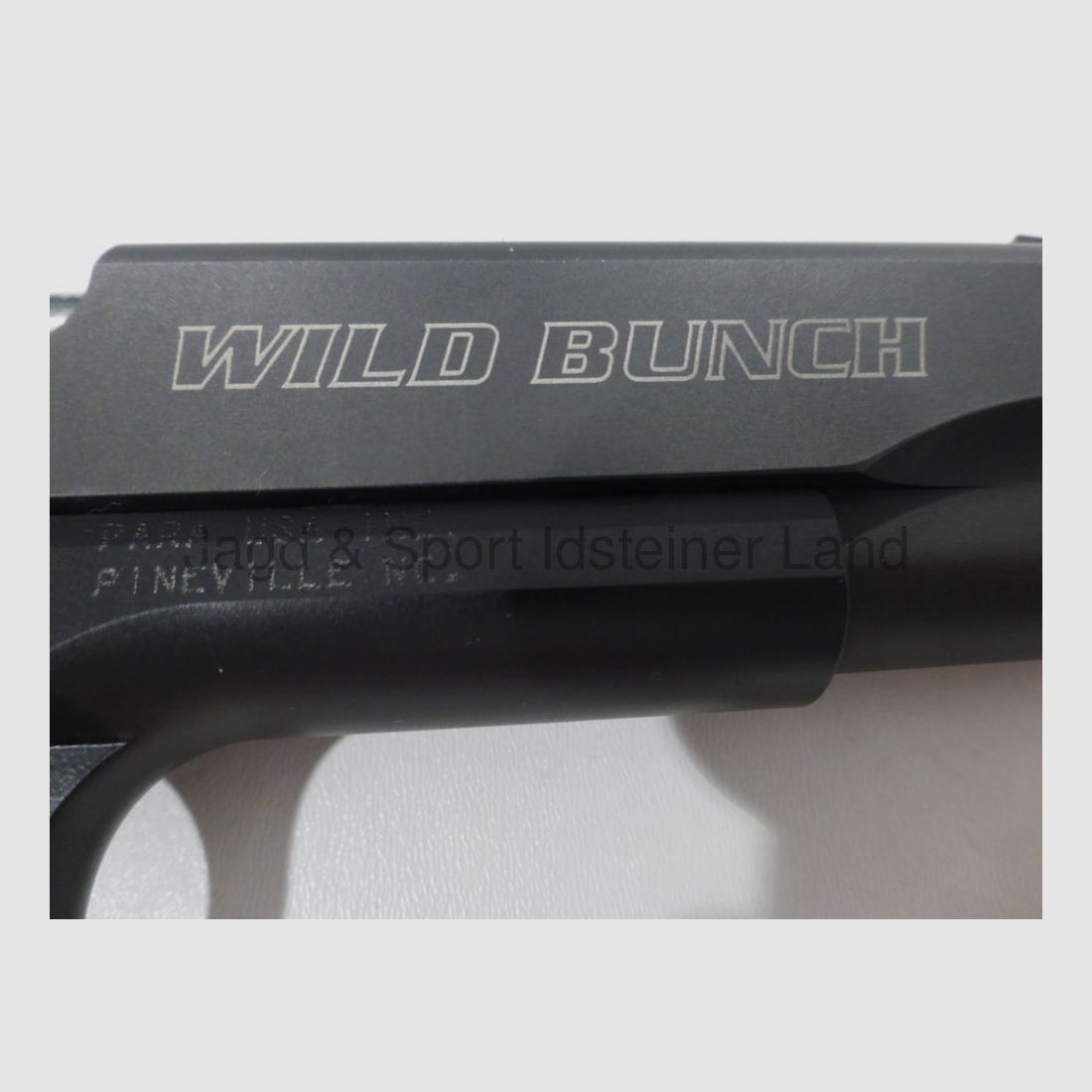 Para Ordonance GI Exp "Wild Bunch" SA