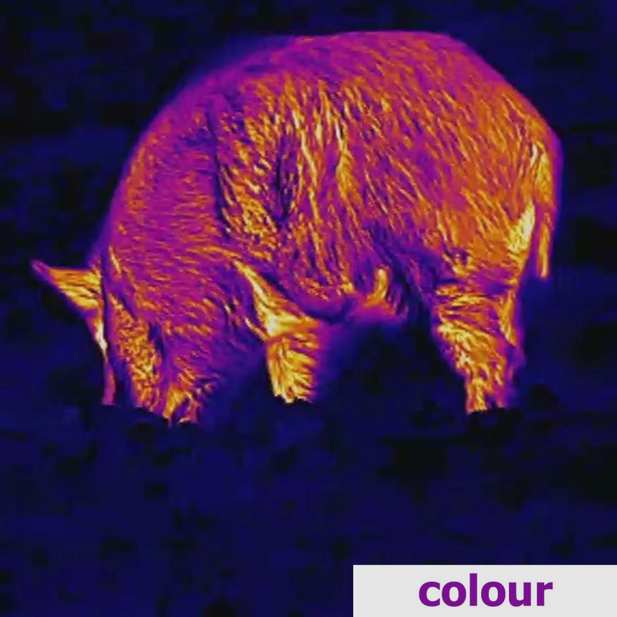 Lahoux Spotter NL 350 Wärmebildkamera