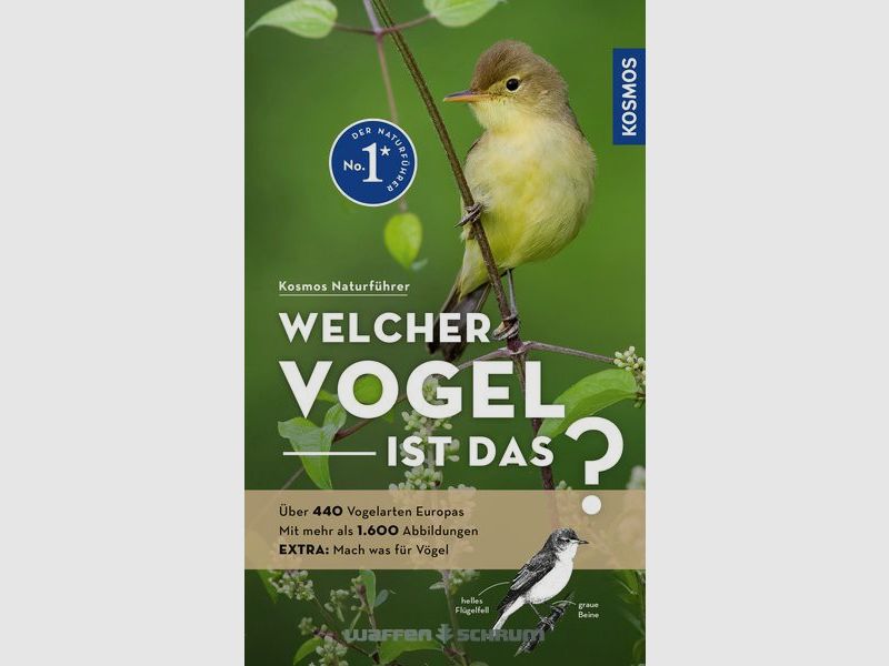 Cosmos Which bird is that? Dierschke