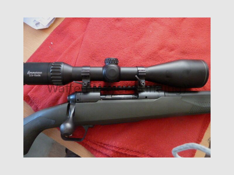 Savage Mod.110