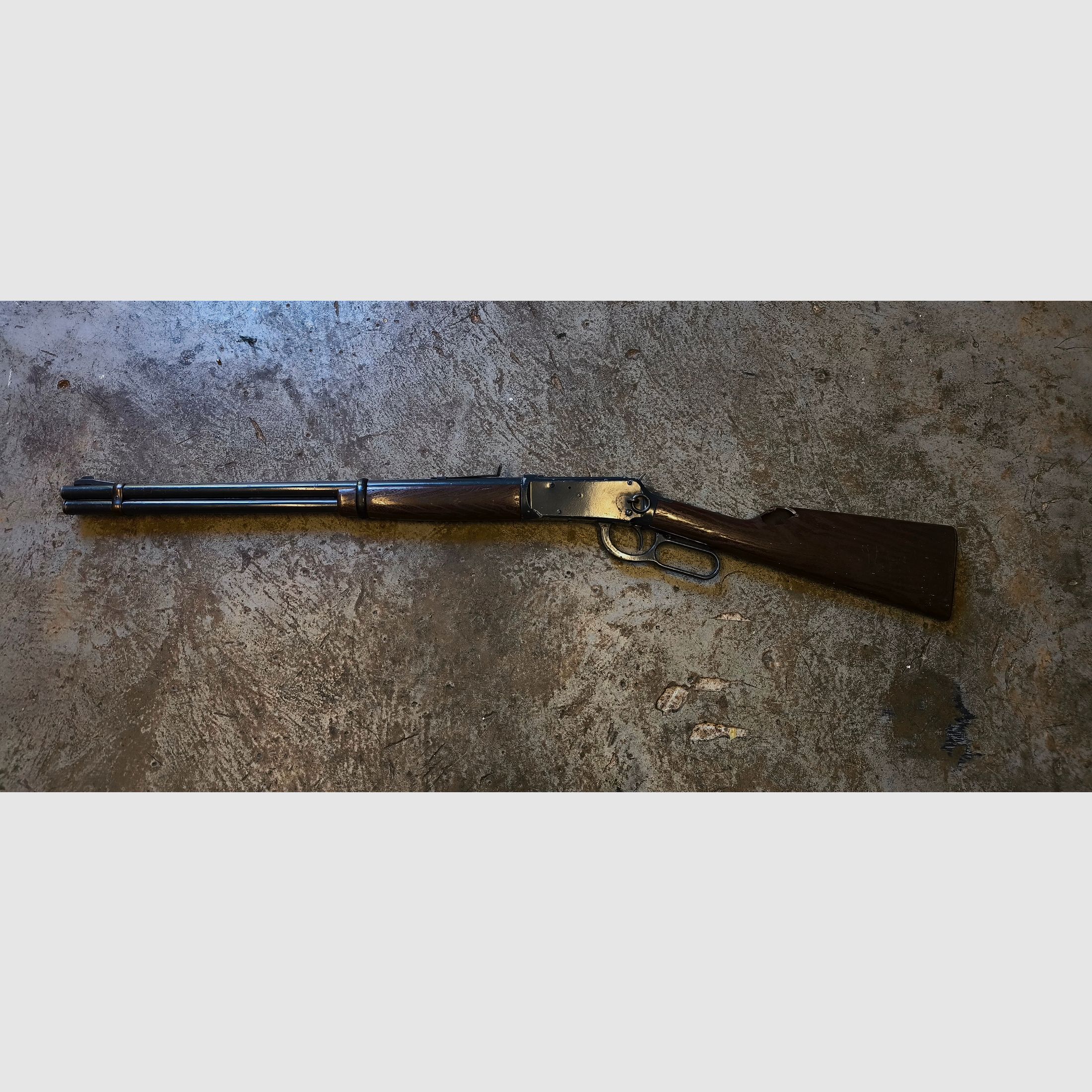 Daisy Model 1894