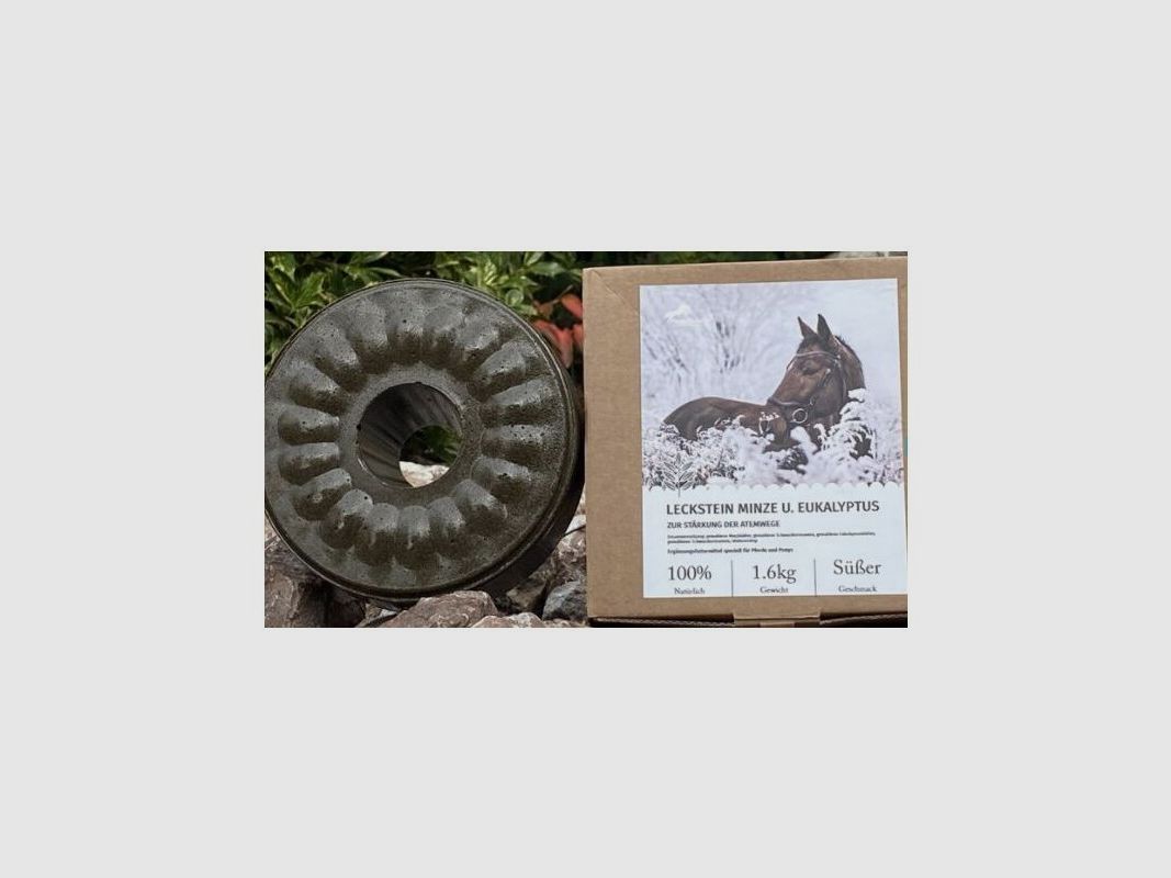 Wildlutscher Leckstein für Pferde und Ponys Minze und Eukalyptus - Atemwege 1,6 kg