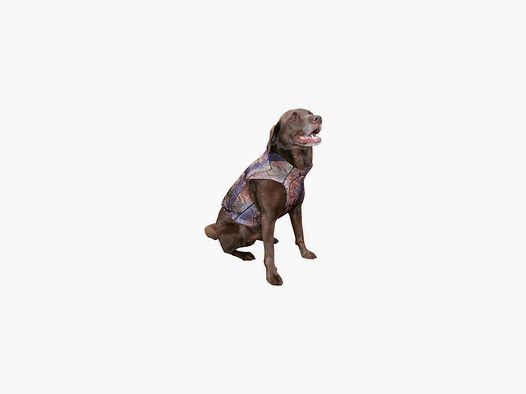 Chaleco de neopreno protector para perro JACK PEACK