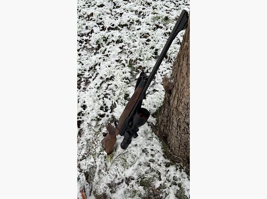 Sauer 404 Classic Kaliber 8x57JS
