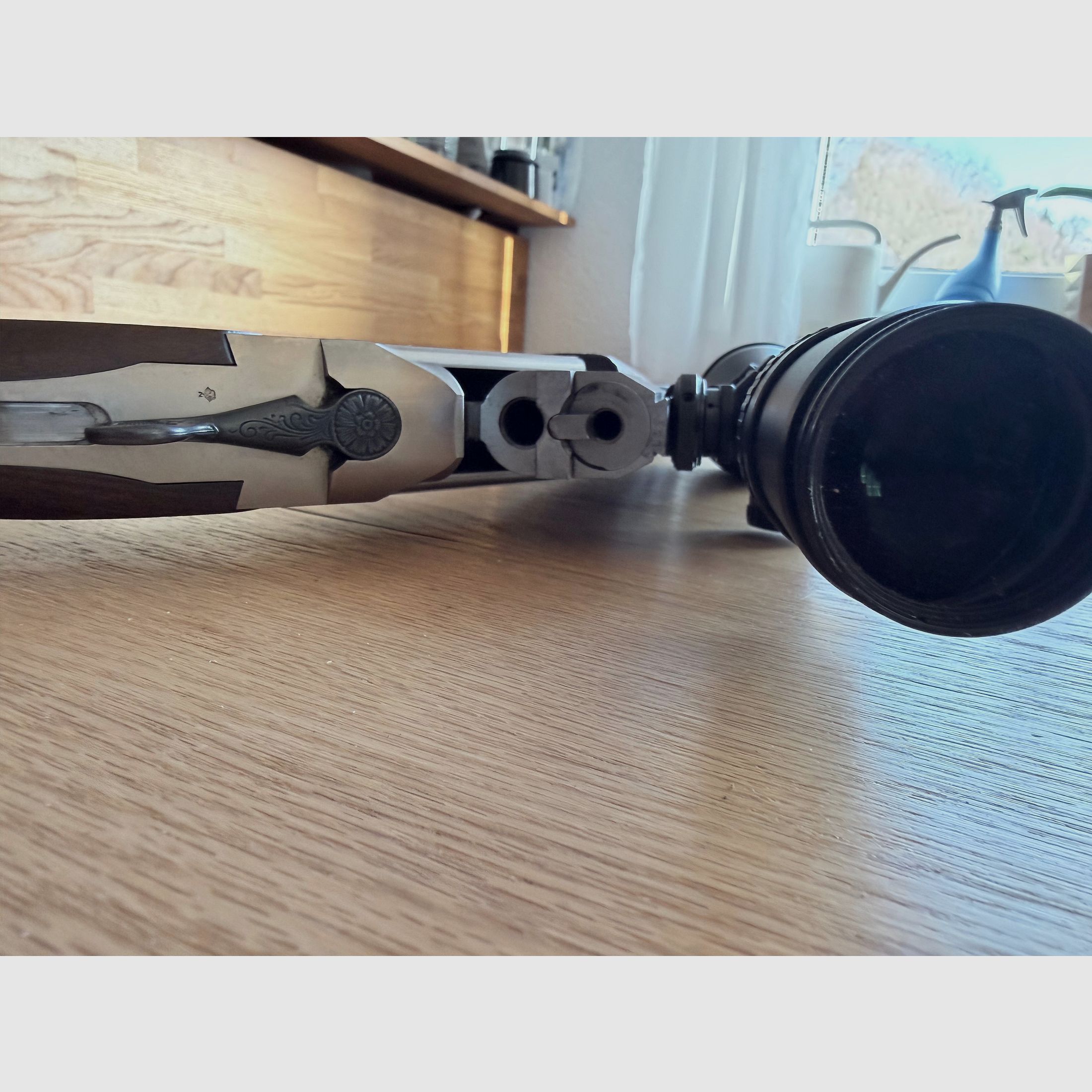 Blaser ES67 nei calibri 7x65R e 12/70 ESL 22 Hornet Meopta Meostar R1. 3-10X50