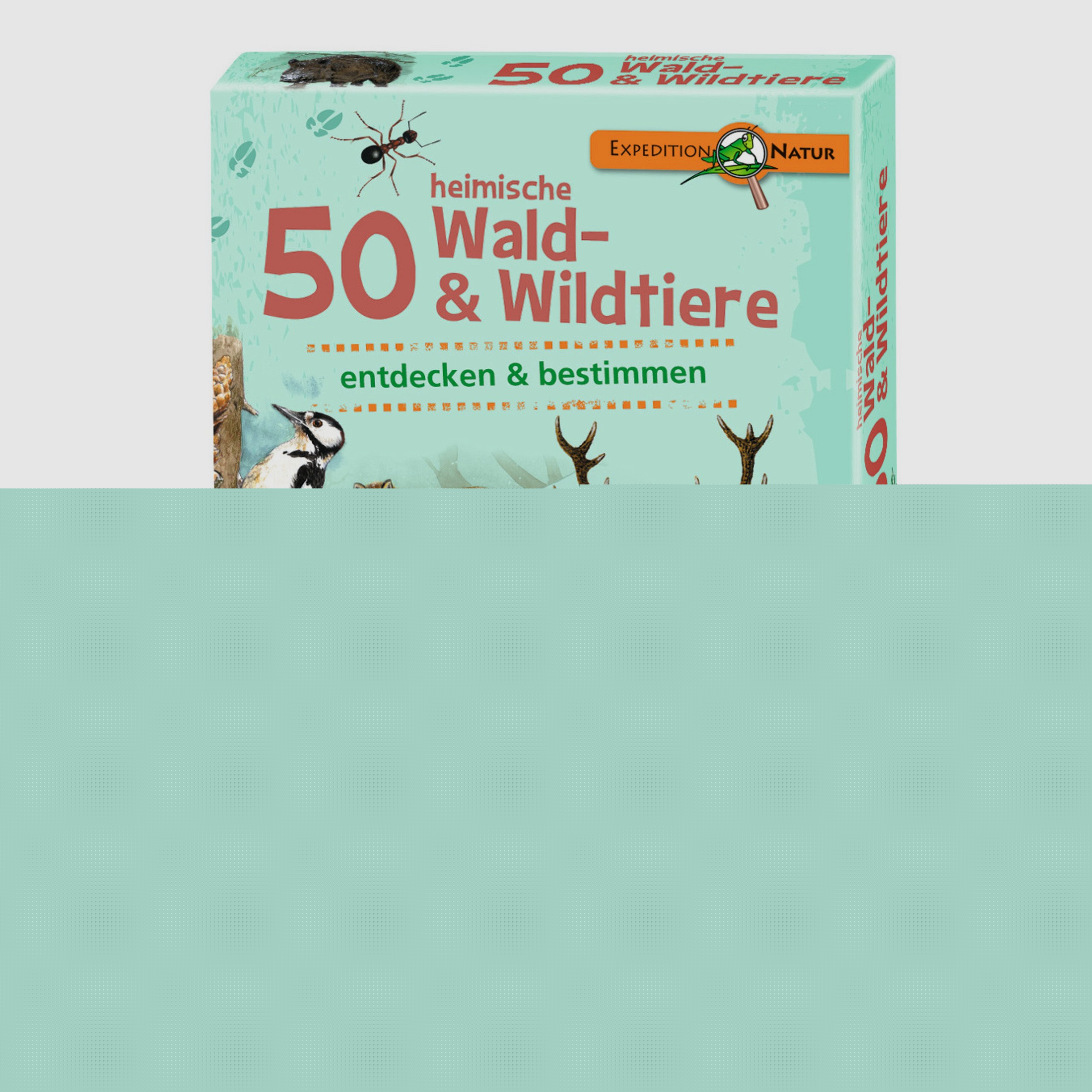 Moses Kartenspiel 50 heimische Wald- & Wildtiere
