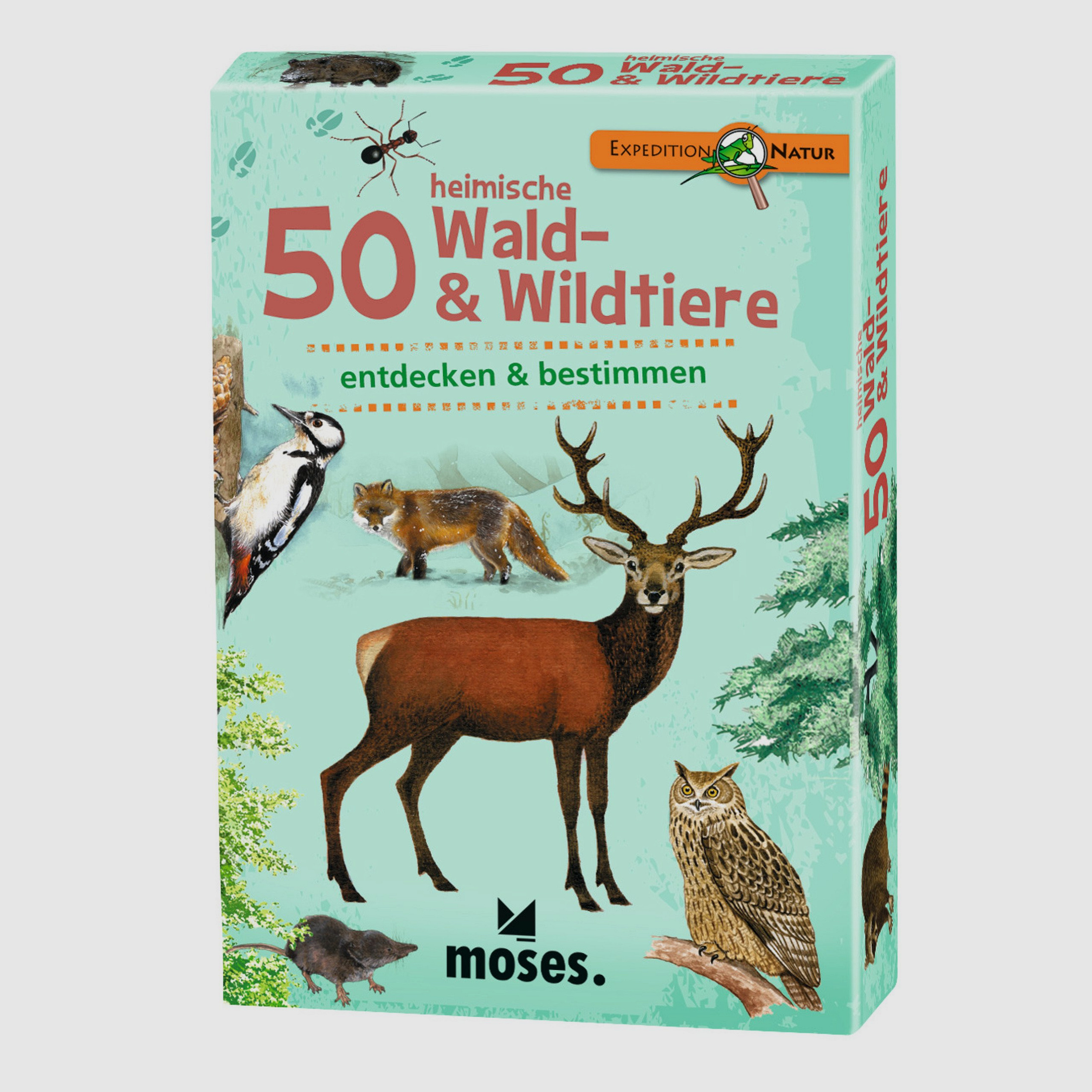 Moses card game 50 native forest & wild animals