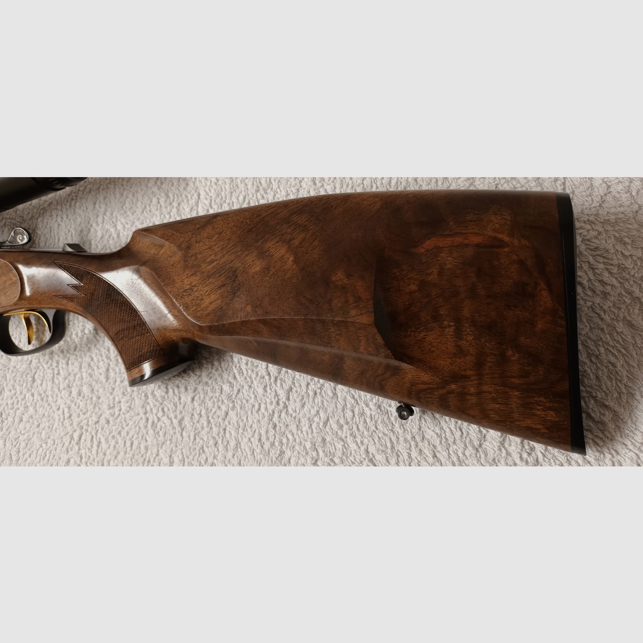 BBF Blaser 95 Special Kal. 12/76 + 3006 mit Einstecklauf Kal.223