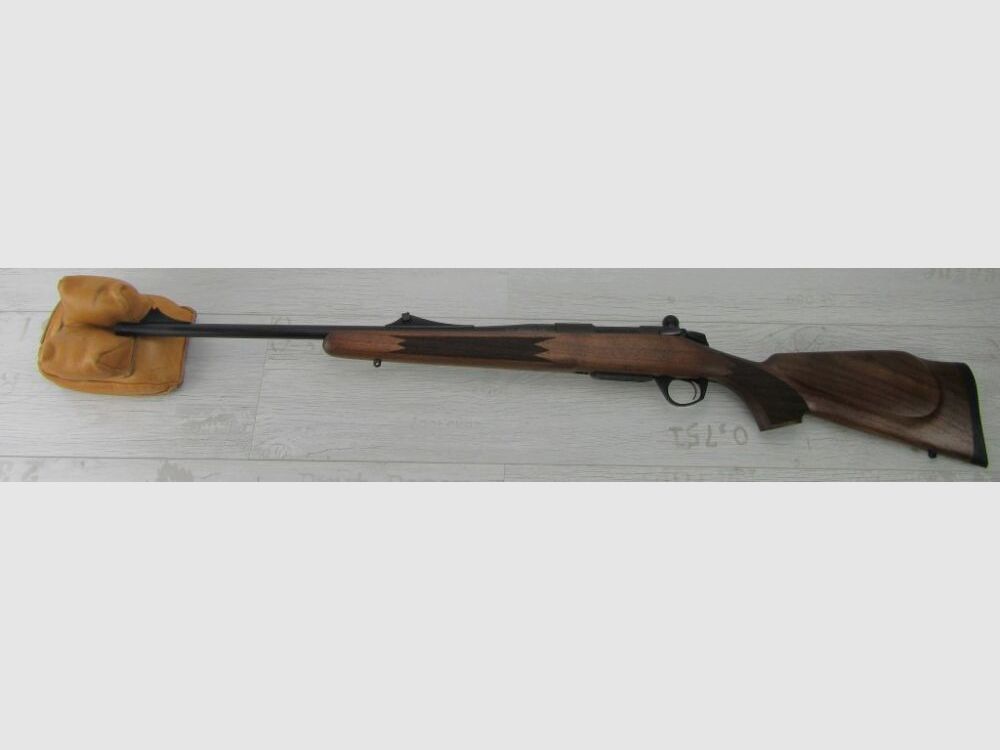 Bergara B14 Timber 22