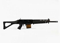 Sig Sauer SG 751 Sport 16"