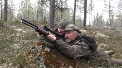 Jagd auf Auer- und Birkwild in Schweden