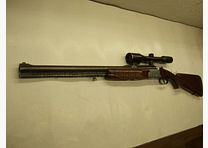 Sabattii mit ZF SWAROVSKI 6x42 Absehen 1