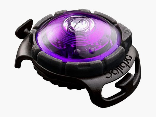 Orbiloc Dog Dual Light