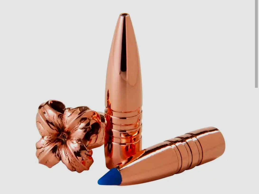 BARNES TTSX 150gr .308 50 Geschosse (20 Packungen verfügbar)