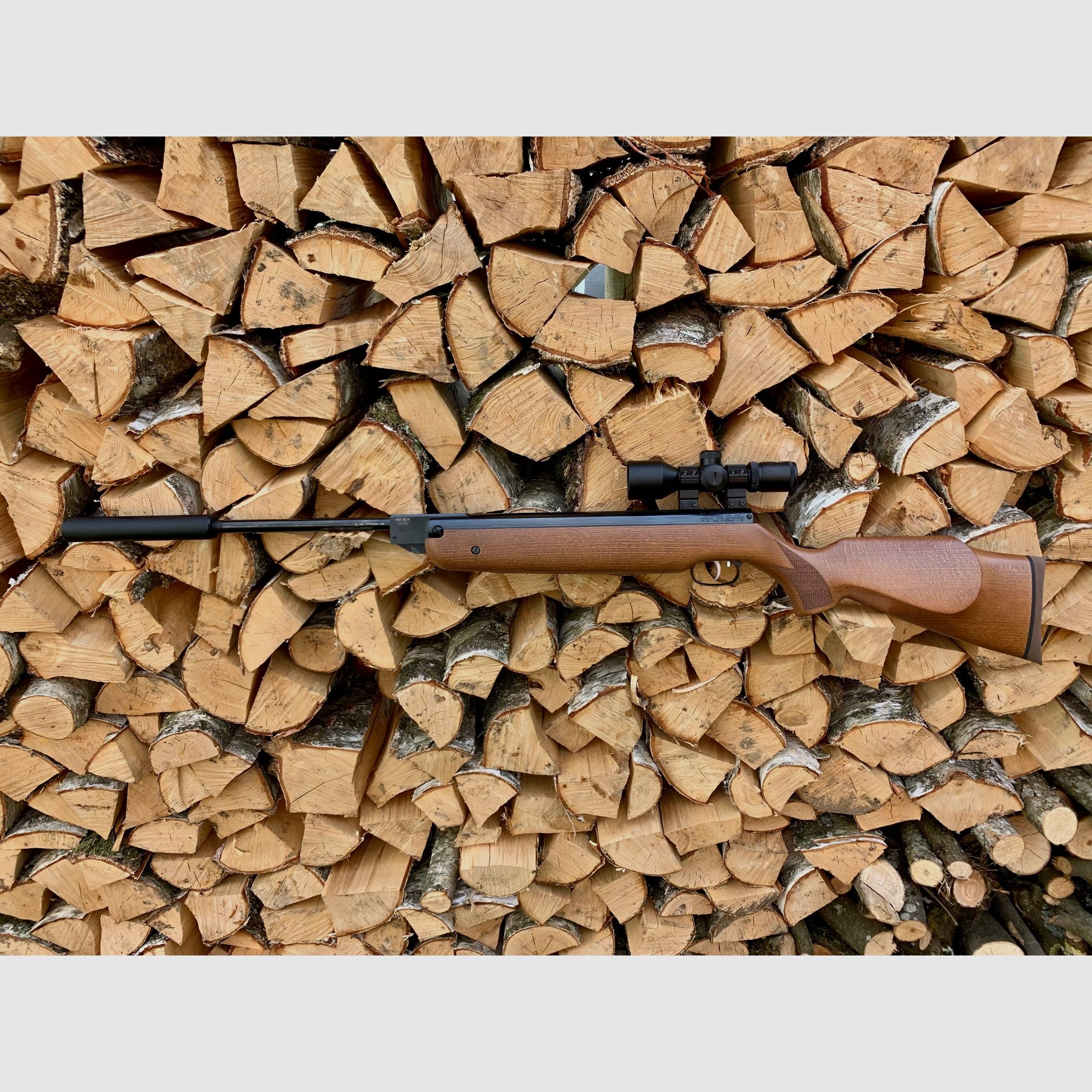Weihrauch HW 80 K con silenziatore calibro 5,5 mm e cannocchiale 3-9x40 compatto