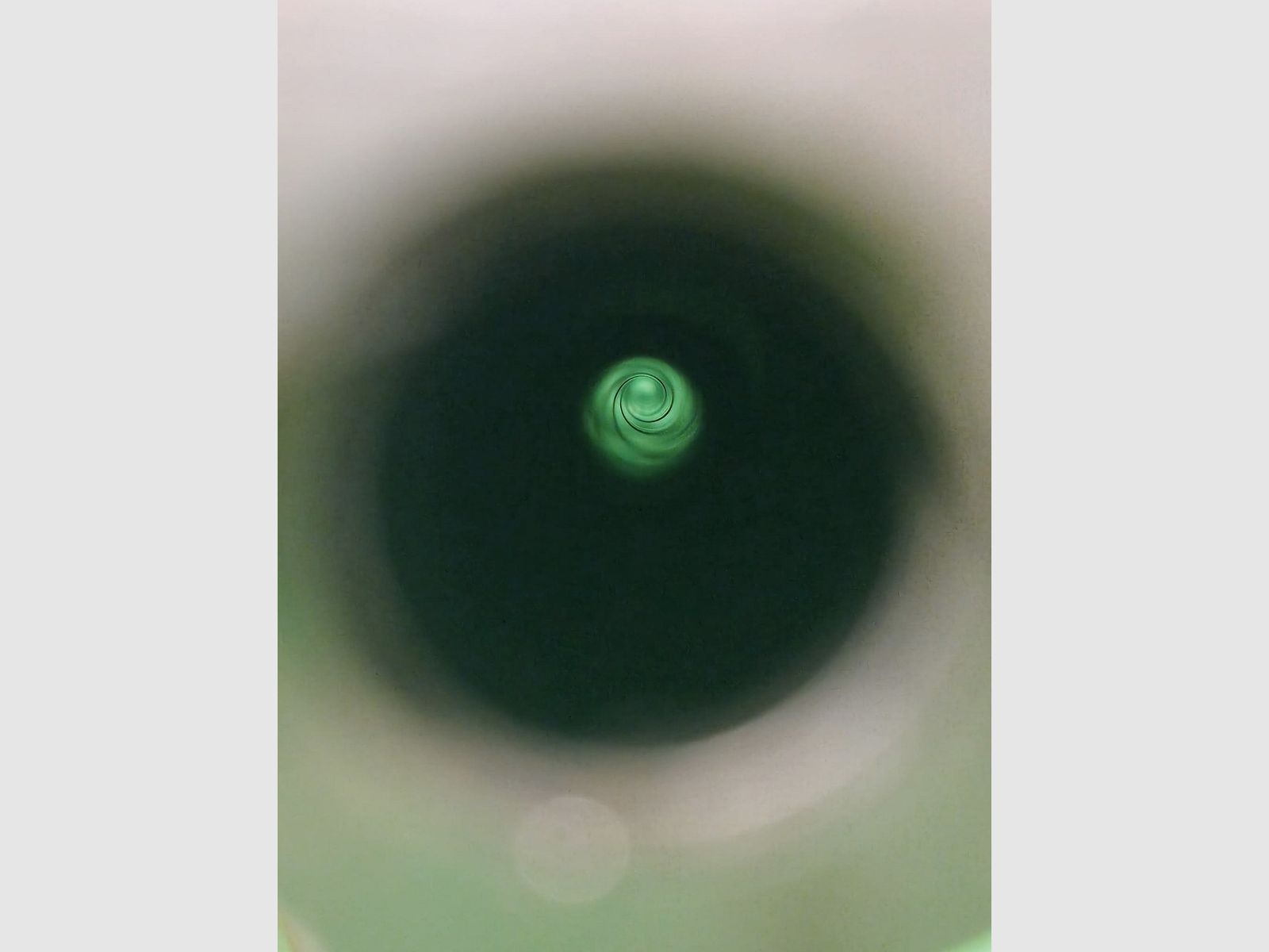 Sauer 54 BBF 7x65R avec lunette de visée