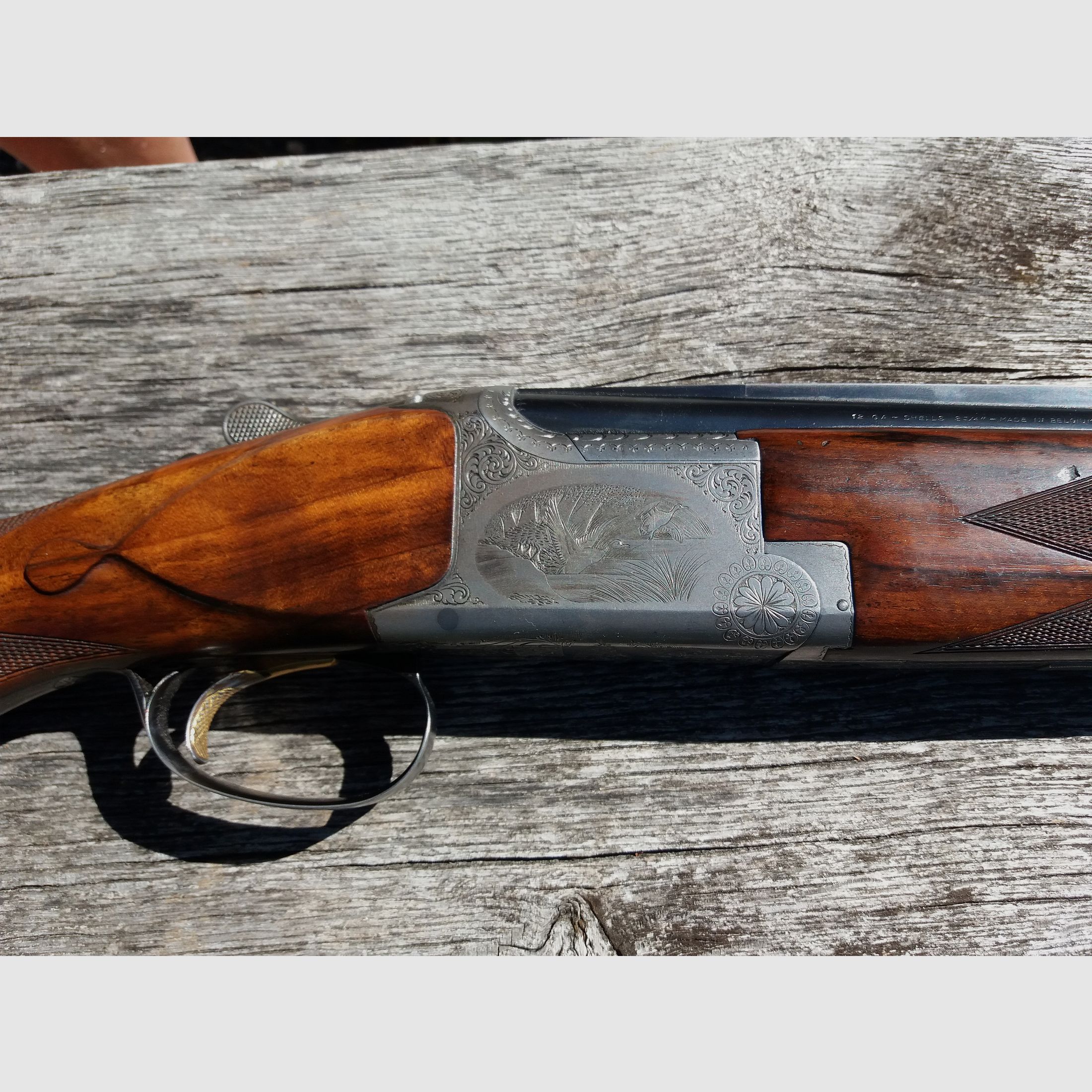 FN fusil