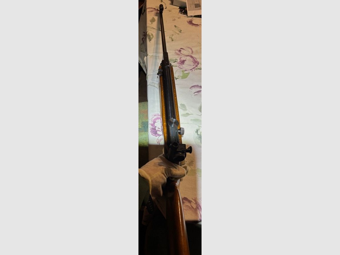 Weihrauch HW 55 mit Diopter