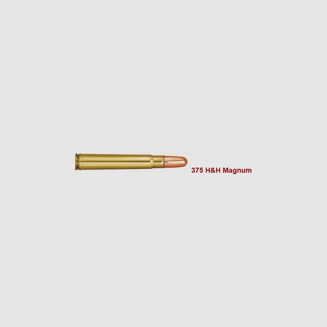 PRVI/PPU .375 H&H Magnum FMJ 300 gr. - 20 Stk.