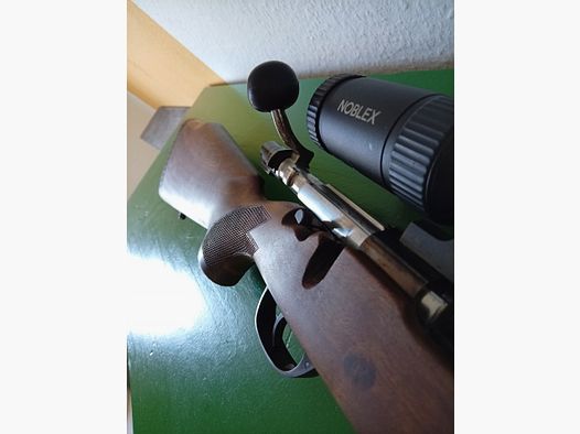 Titre : Santa Barbara carabine à répétition 98er cal. 7x64 avec Noblex N6 2-12x50 point lumineux (système Mauser, chasse à courre, affût)