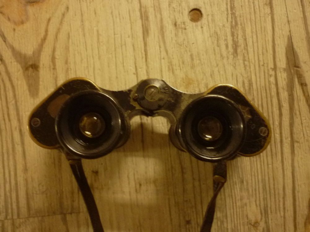 Hensold	 6x30-Dienstglas