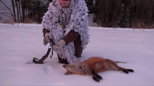 Fox calling and badger hunt, Lokkjakt på rev og grytjakt på grävling