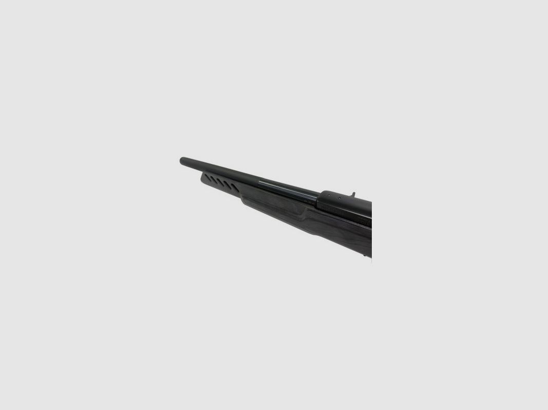 RUGER 10/22 Target, Bild 5 von 8