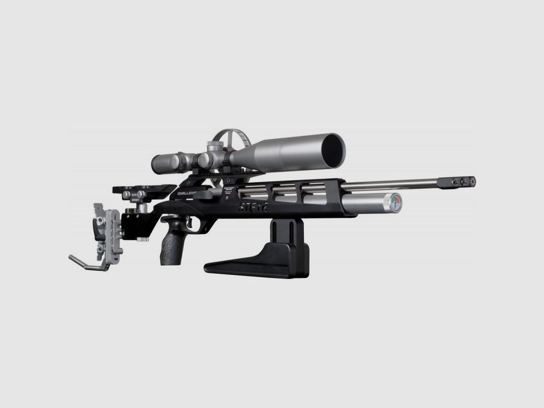 CARABINES STEYR CHALLENGE FIELD TARGET