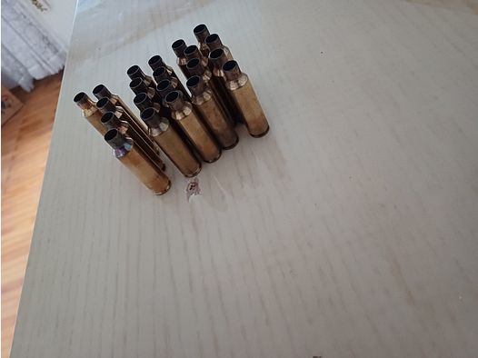 .300 WSM Hülsen