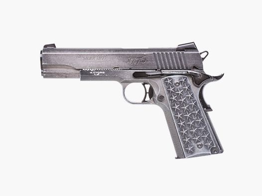 Sig Sauer Sig Sauer 1911 WTP Retroceso